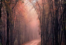 没有八冠王广州队!49家俱乐部获足协准入资格中新体坛.