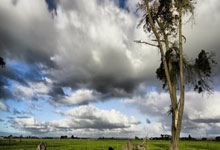 虎扑体育:拉姆:贝肯鲍尔在许多方面都超越时代,他是独一无二的巨星.