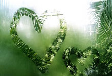 虎扑体育:北京2400万先生,成周琦转会最大受害者,前任是宏远篮球宝贝队长.