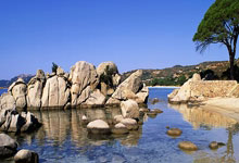 热刺在对南安普顿的比赛中上演闪电进球,比赛第36秒即破门.